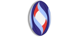 Coque Rugby